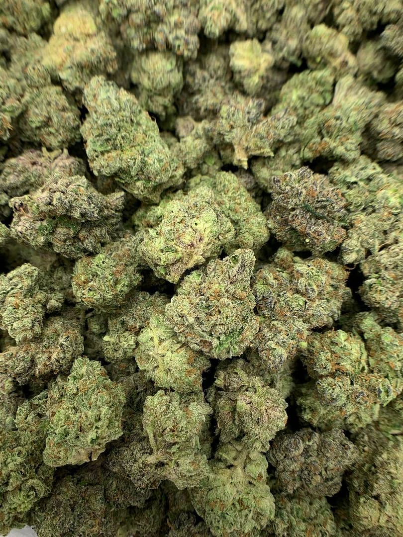 Purple Nitro THCa Flower 2 Buy Purple Nitro THCa Flower in bulk and offer your customers a high-energy flavor experience. 28.9% THCa,