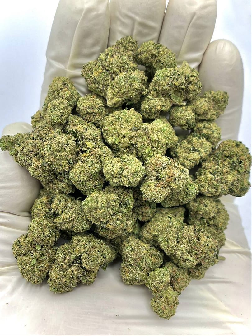 Cadillac Rainbows THCA Flower - Premium Colorful Cannabis for Wholesale Buyers