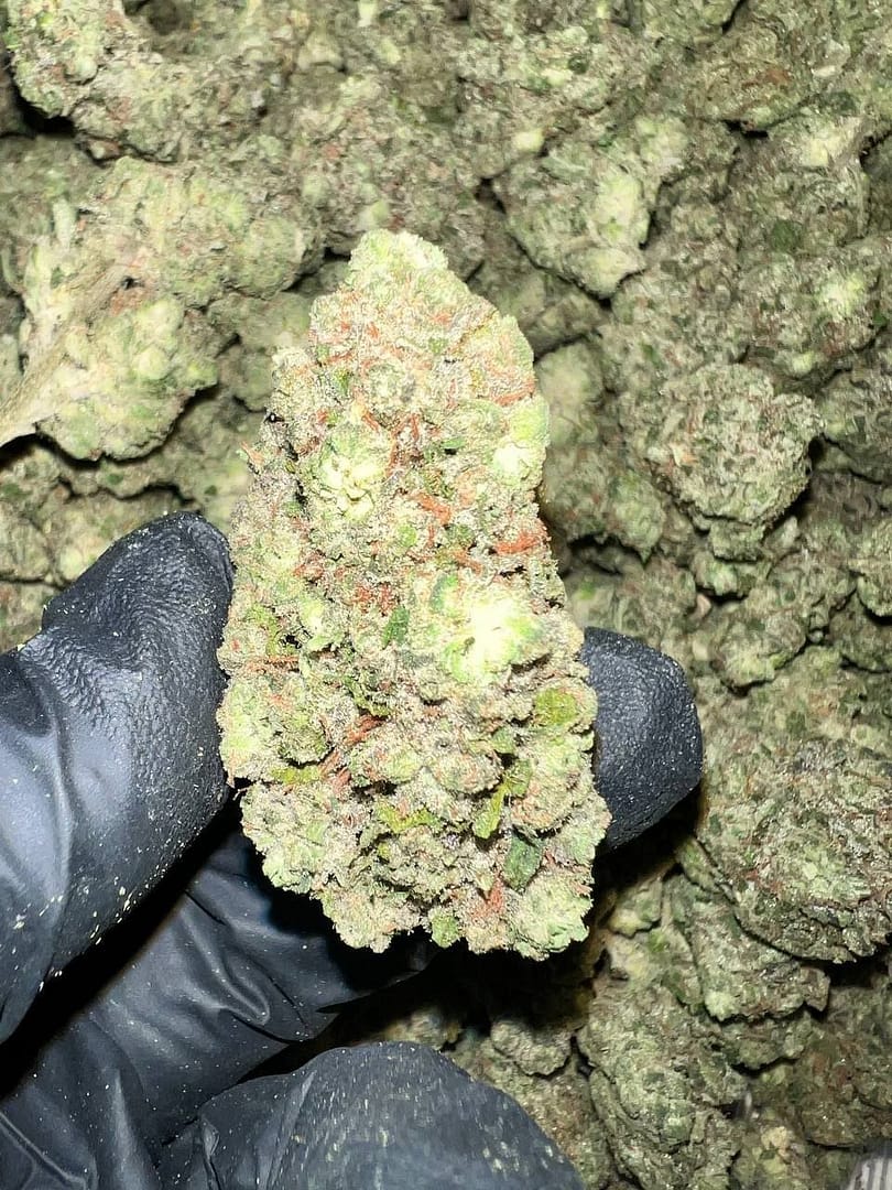 Tahoe OG THCa Flower