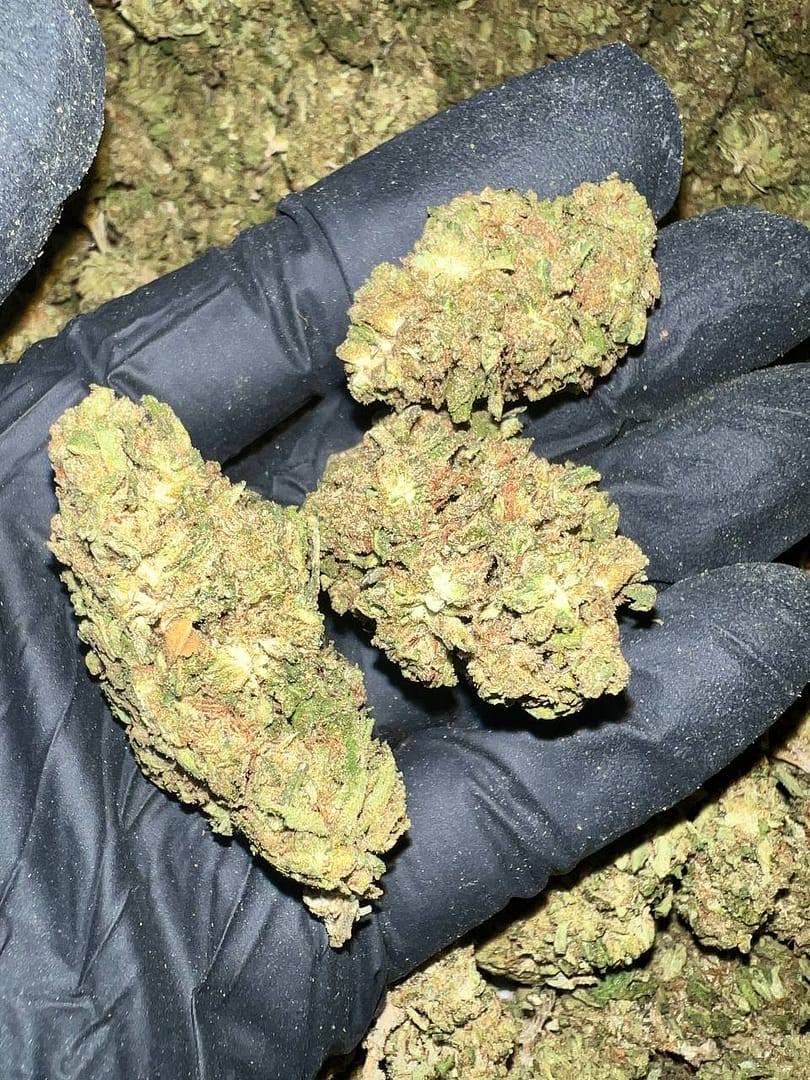 Grape Gas THCa Flower