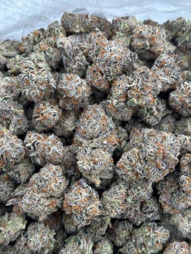 Jack Herer HHC Flower