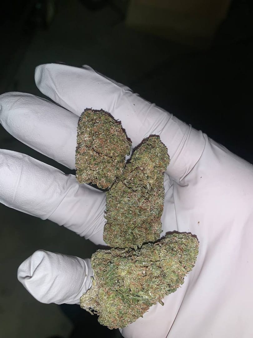 Sour Runtz