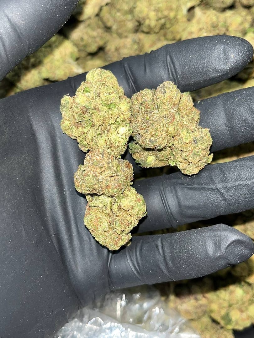 Black Runtz THCa