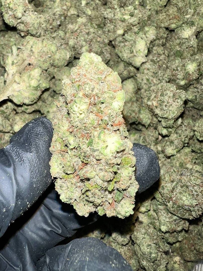 Tahoe OG THCa Flower