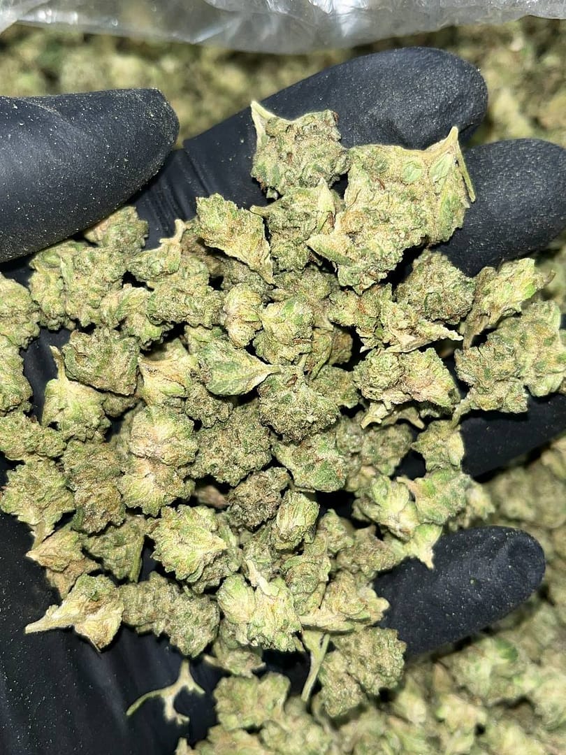Wedding Cake THCa Smalls