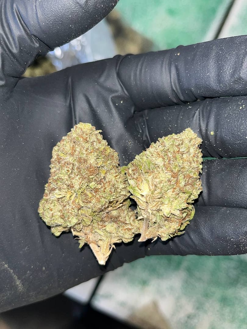 Jelly Roll THCA
