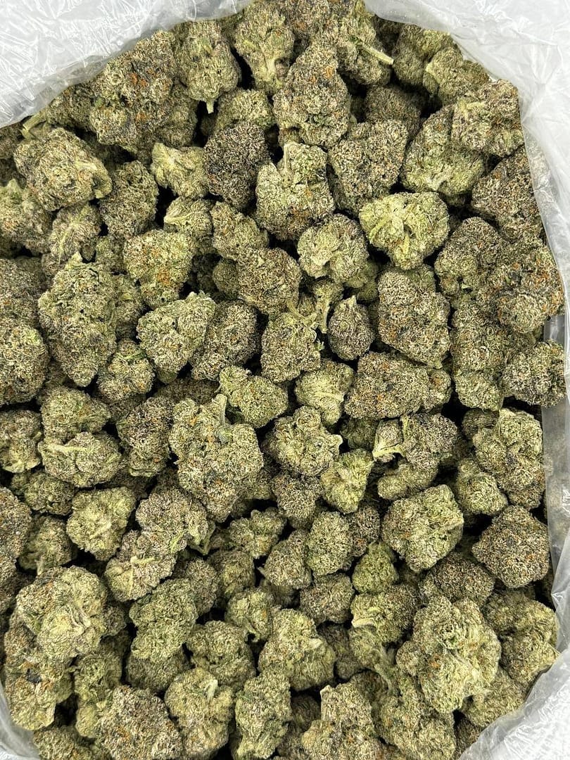 Candy Bolo THCa
