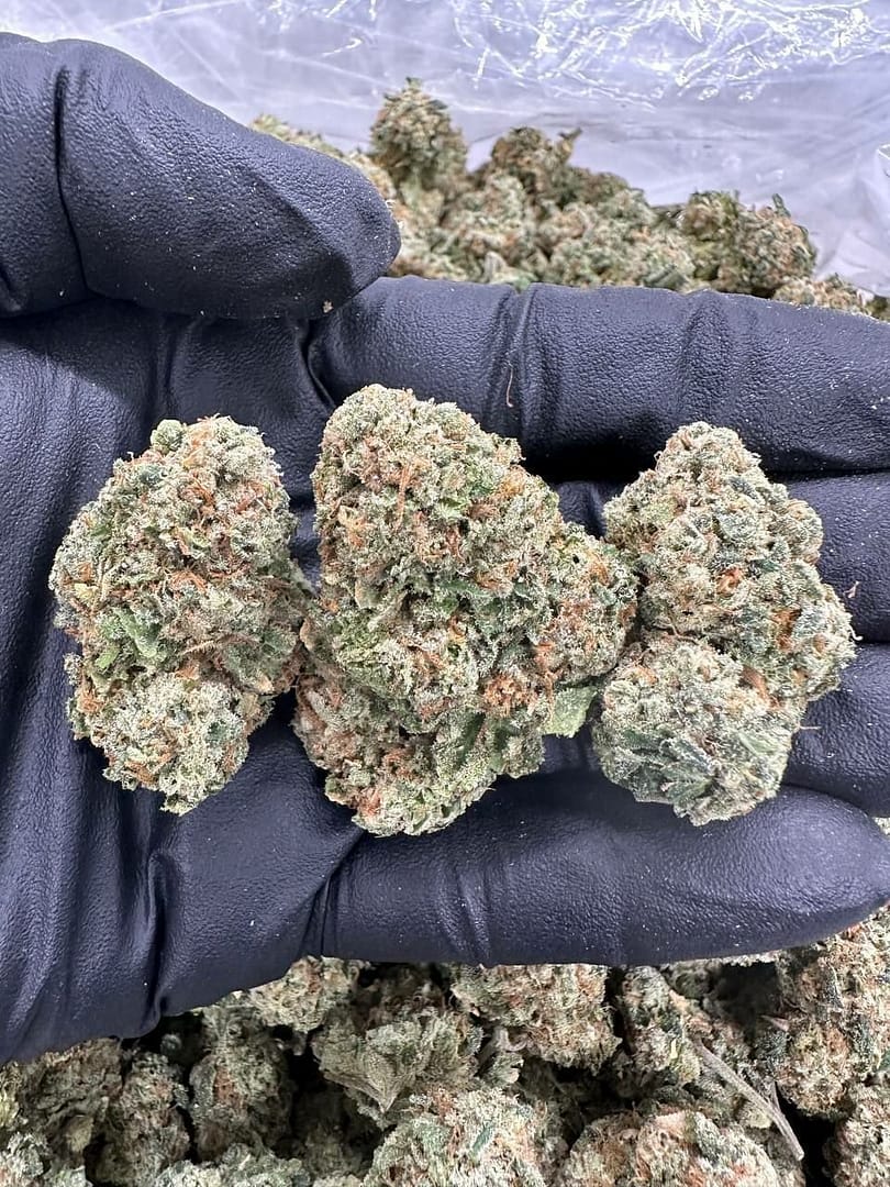 Gelato Runtz THCa