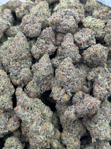 Blue Dream HHC Flower