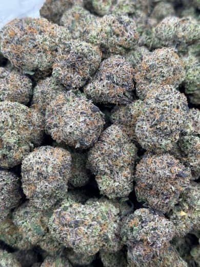 Purple Punch HHC Flower