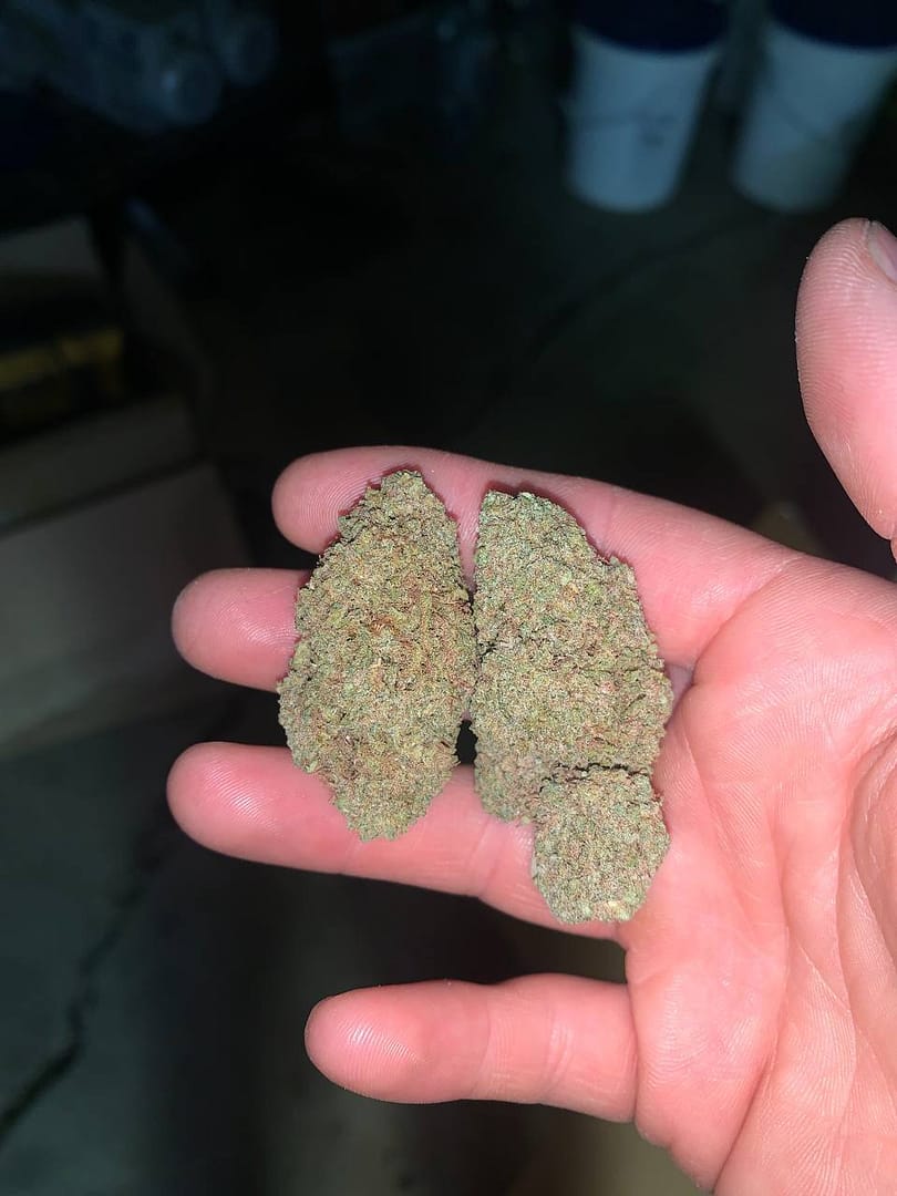 Zkittlez THCA