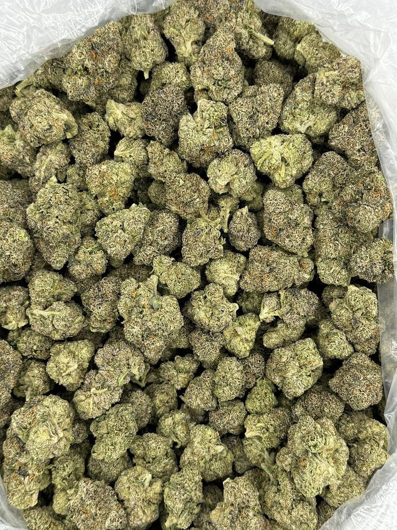 Candy Bolo THCa
