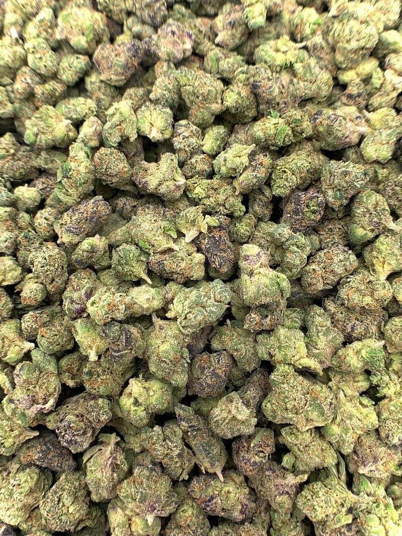 Afro Runtz Exotic THCa Flower 2 Afro Runtz Exotic THCa Flower - Image 2