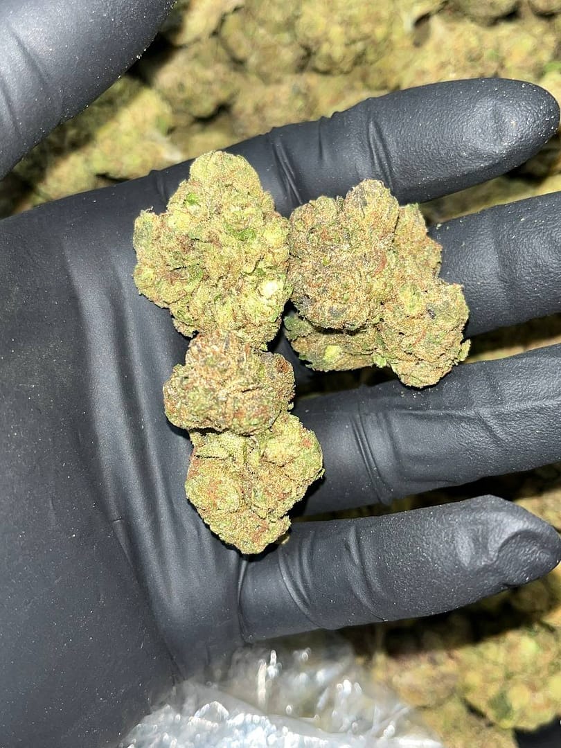 Black Runtz THCa