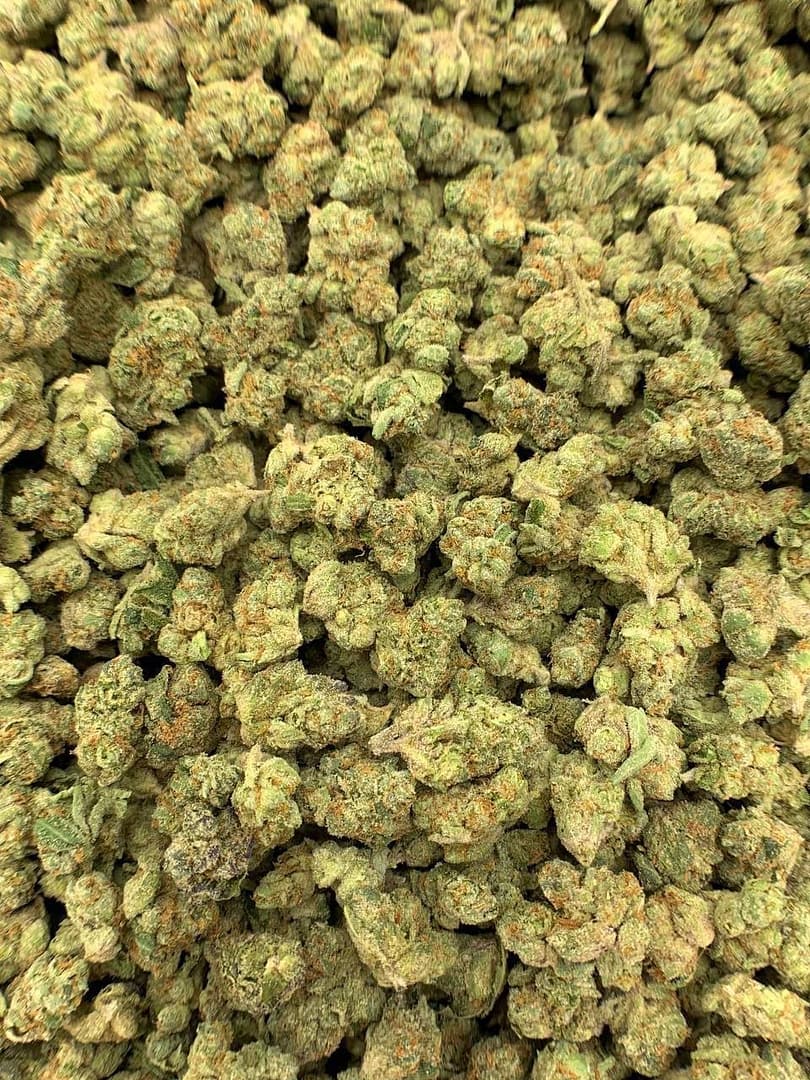 Gary Payton THCa Flower 2 Gary Payton THCa Flower - Image 2