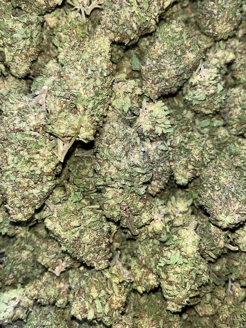 Gelato THCA 2 Gelato THCA - Image 2