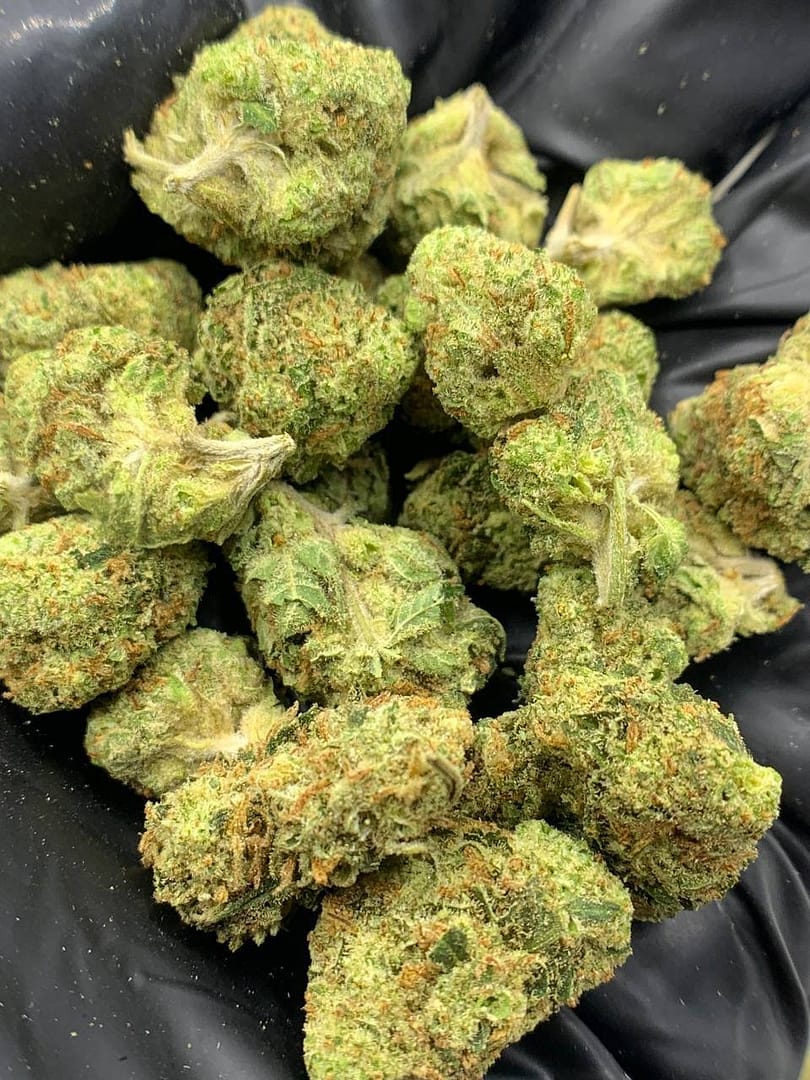 Candy Glue THCa Flower