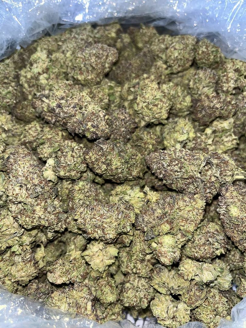 Trump Runtz THCA 2 Trump Runtz THCA - Image 2