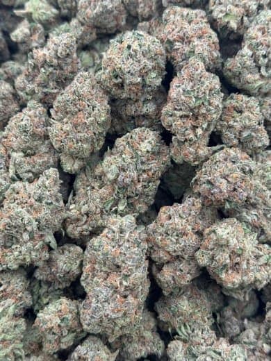 Strawberry Shortcake HHC Flower