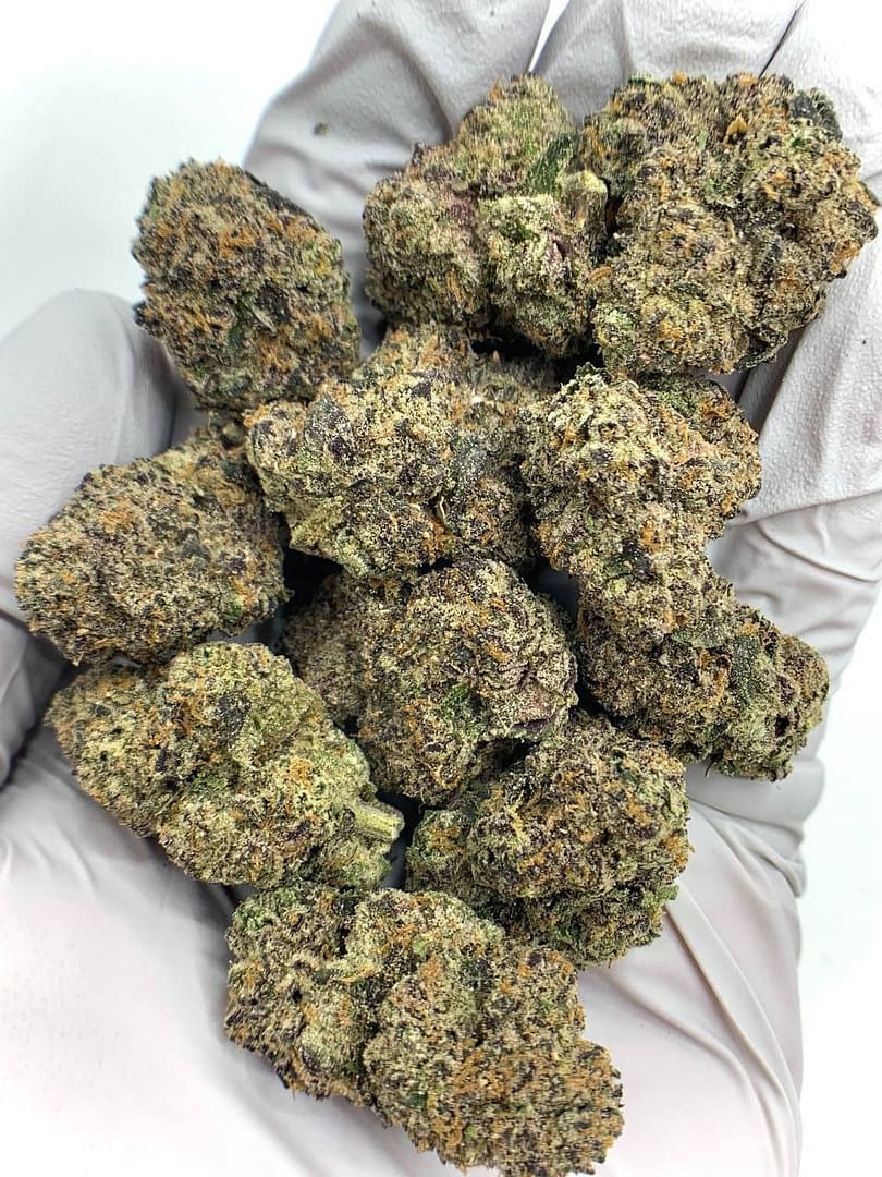 Archive Runtz Exotic THCa Flower