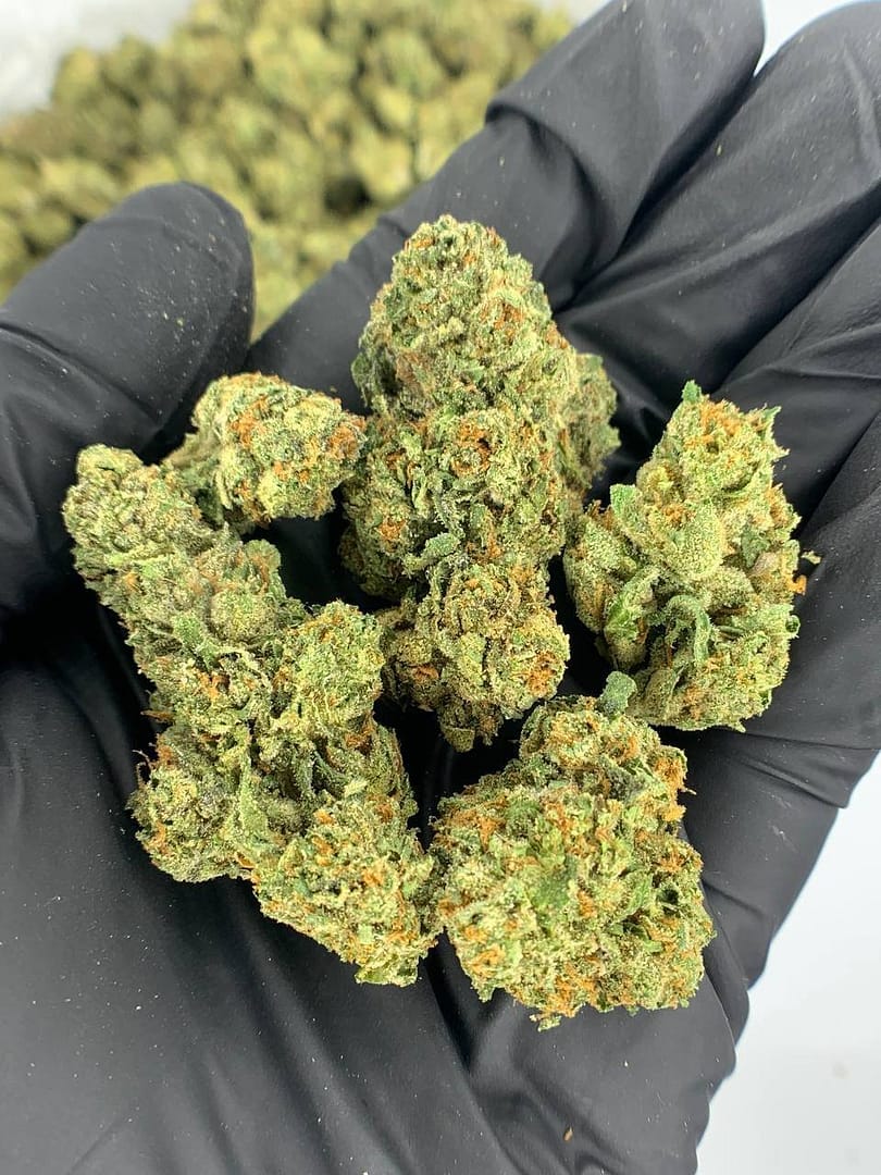 Home 18 LCG THCa Flower
