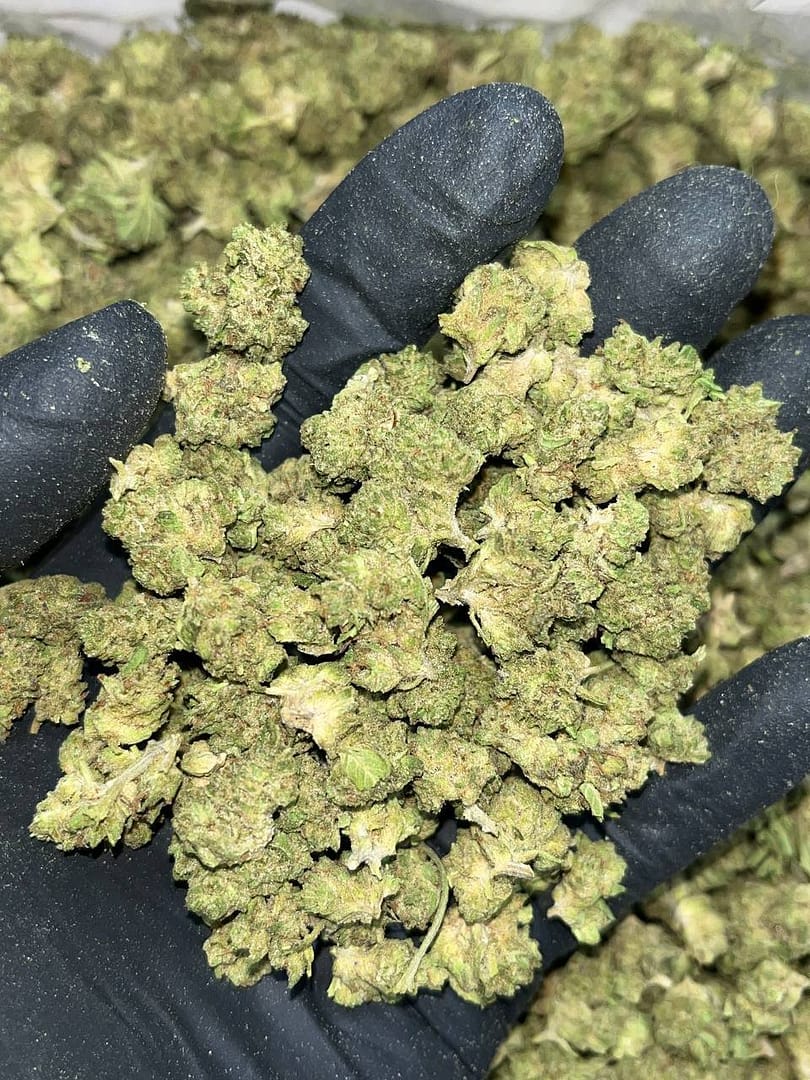 Apple Fritter THCa Smalls