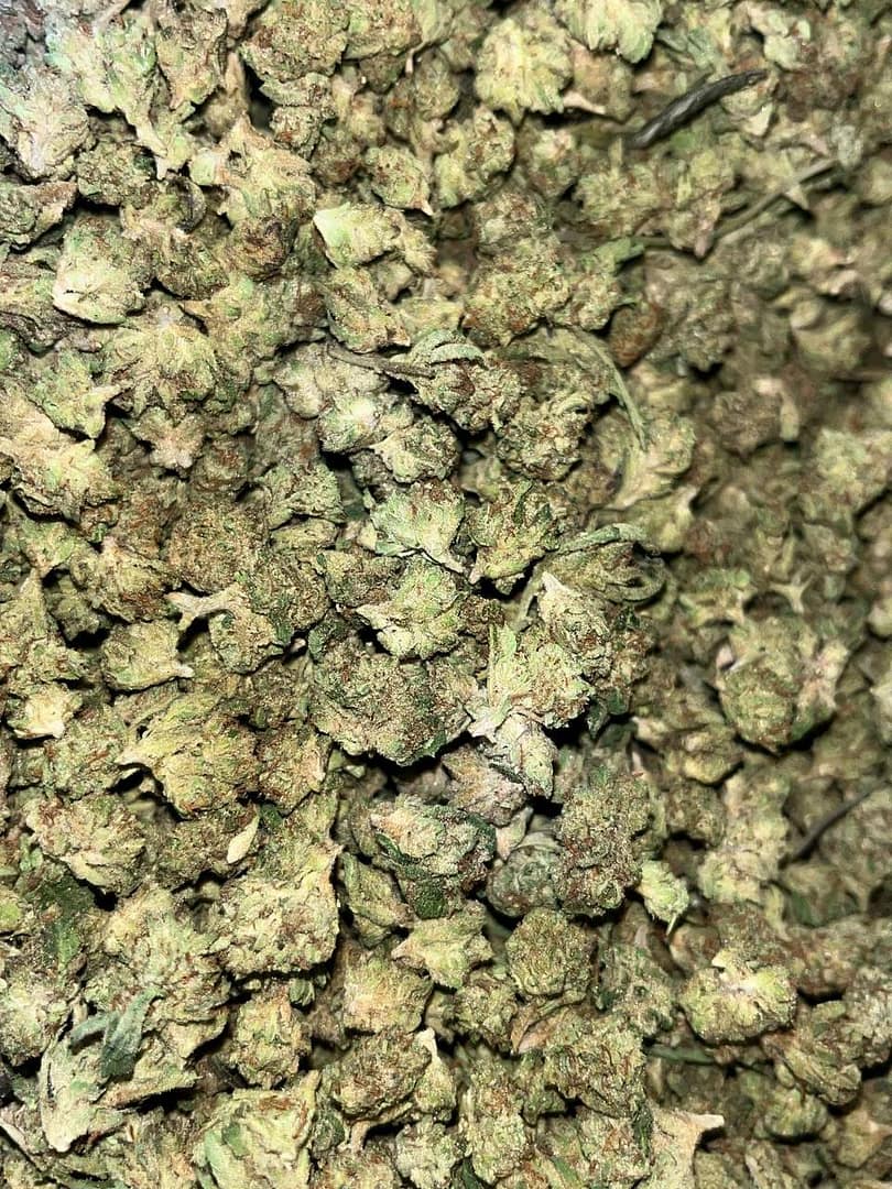 Biscotti THCa Smalls