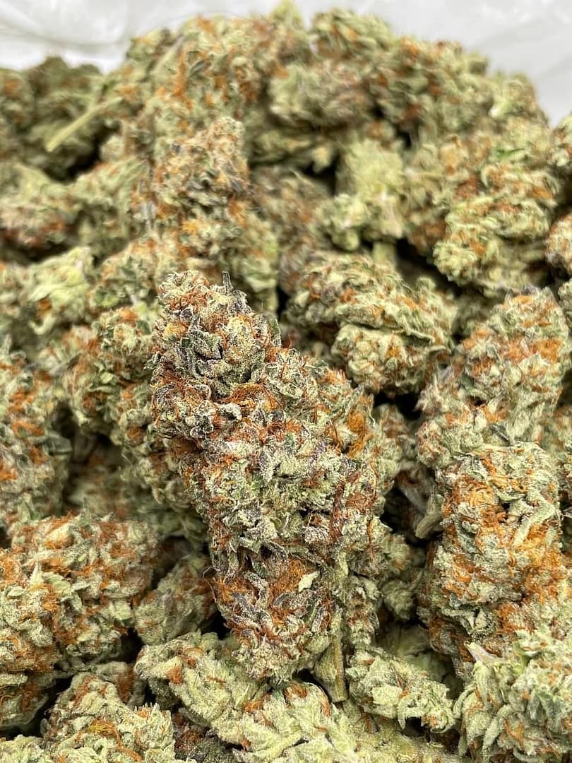 Sherblatto THCa Flower