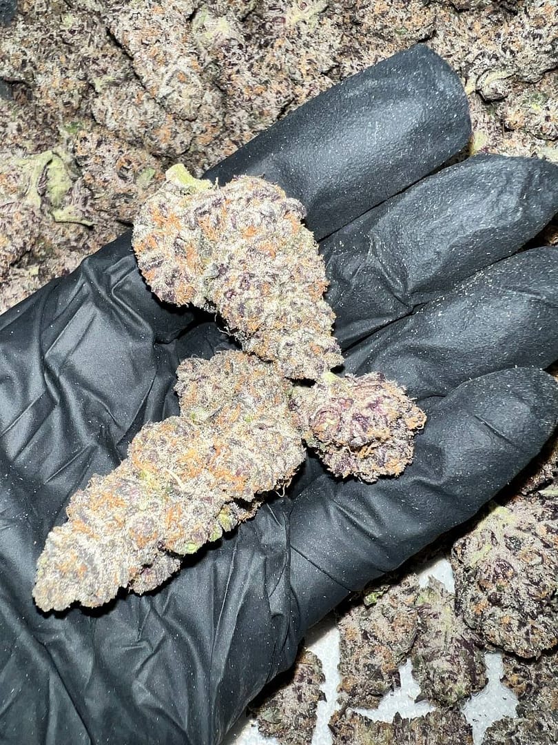 Granimals Exotic THCa Flower