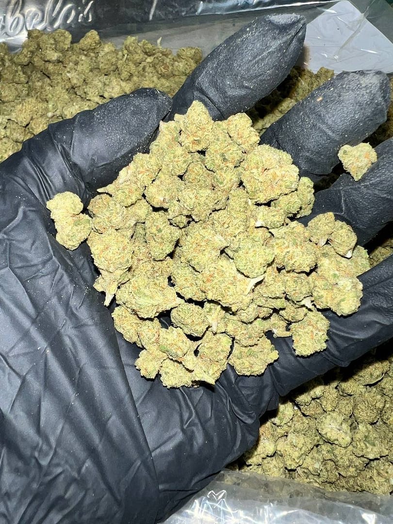 Cheetah Piss Exotic THCa Flower