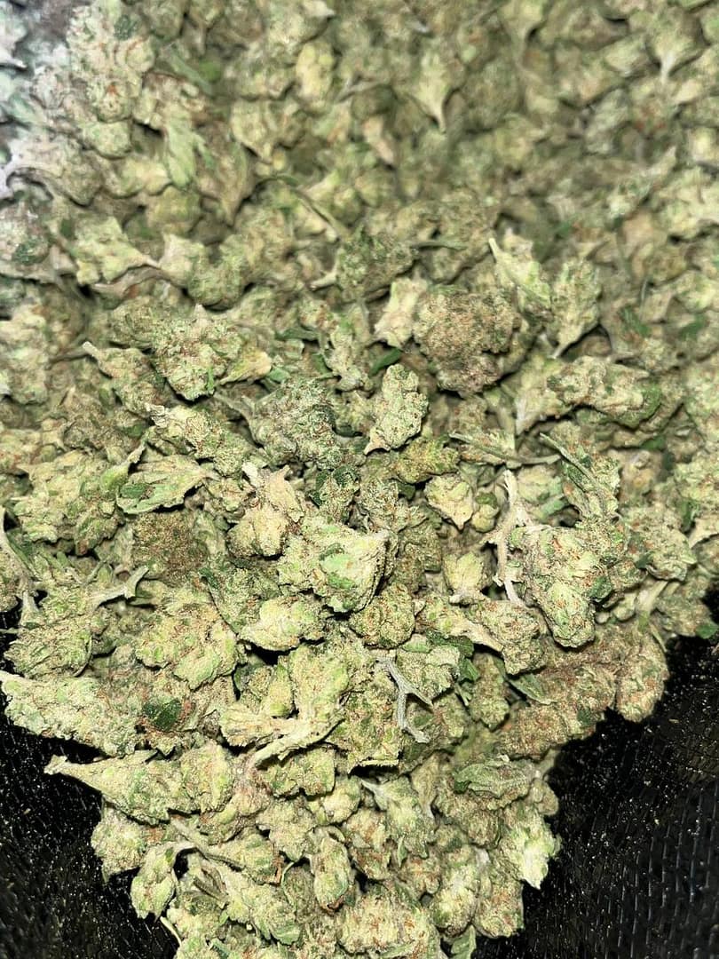 Bold Energies Await with Permanent Marker Smalls THCA Sativa Sensation