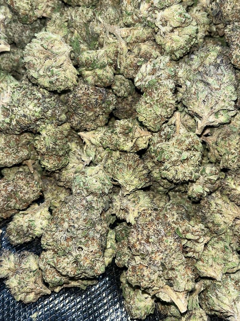 Jealousy Runtz THCA Flower Elevate Your Experience with a Premium Hybrid Strain