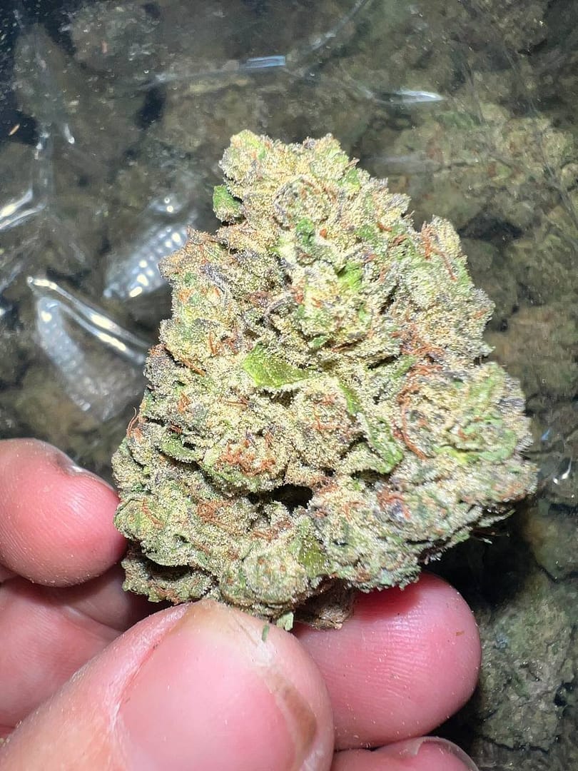 Ice Cream Cake THCa