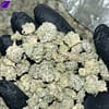 Snocaps Smalls THCA