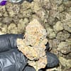 Get exotic Carbon Fiber THCa Flower in bulk. Premium, Oregon-grown, and rigorously third-party tested for wholesale buyers.