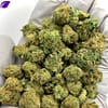 Bubble Bath THCa Flower for Bulk Wholesale Purchase