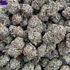 Bulk Jack Herer HHC Flower - Wholesale HHC Buds - High-Quality Cannabis
