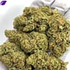 ChemDawg THCa Flower (Chemdog) for Bulk Wholesale Purchase