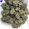 Shirley Temple THCA Flower - Fruity Hybrid Cannabis with Balanced Relaxation