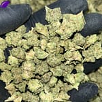 Wedding Cake THCa Smalls