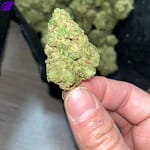G41 Indoor THCa