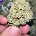 Ice Cream Cake THCa
