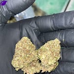 Jelly Roll THCA