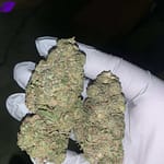 Lemon Haze THCa