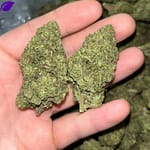 Lemon Haze THCA