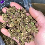 Queen Slayer THCa Smalls