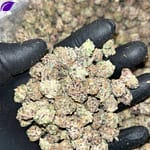 Tropical Punch THCa Smalls