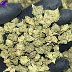 Wedding Cake THCa Smalls