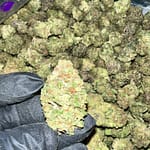 Detroit Runtz THCa
