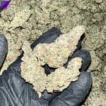 Obi Wan Exotic THCa Flower